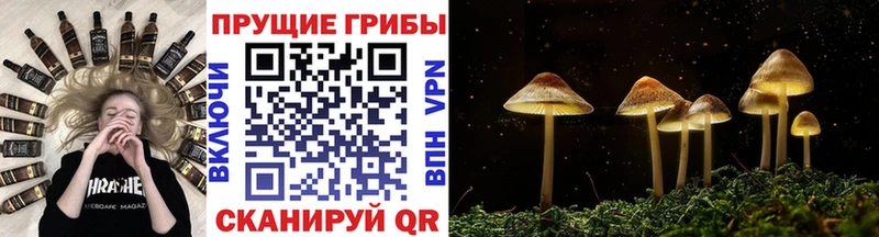 Псилоцибиновые грибы мухоморы  как найти   это официальный сайт  Хотьково 